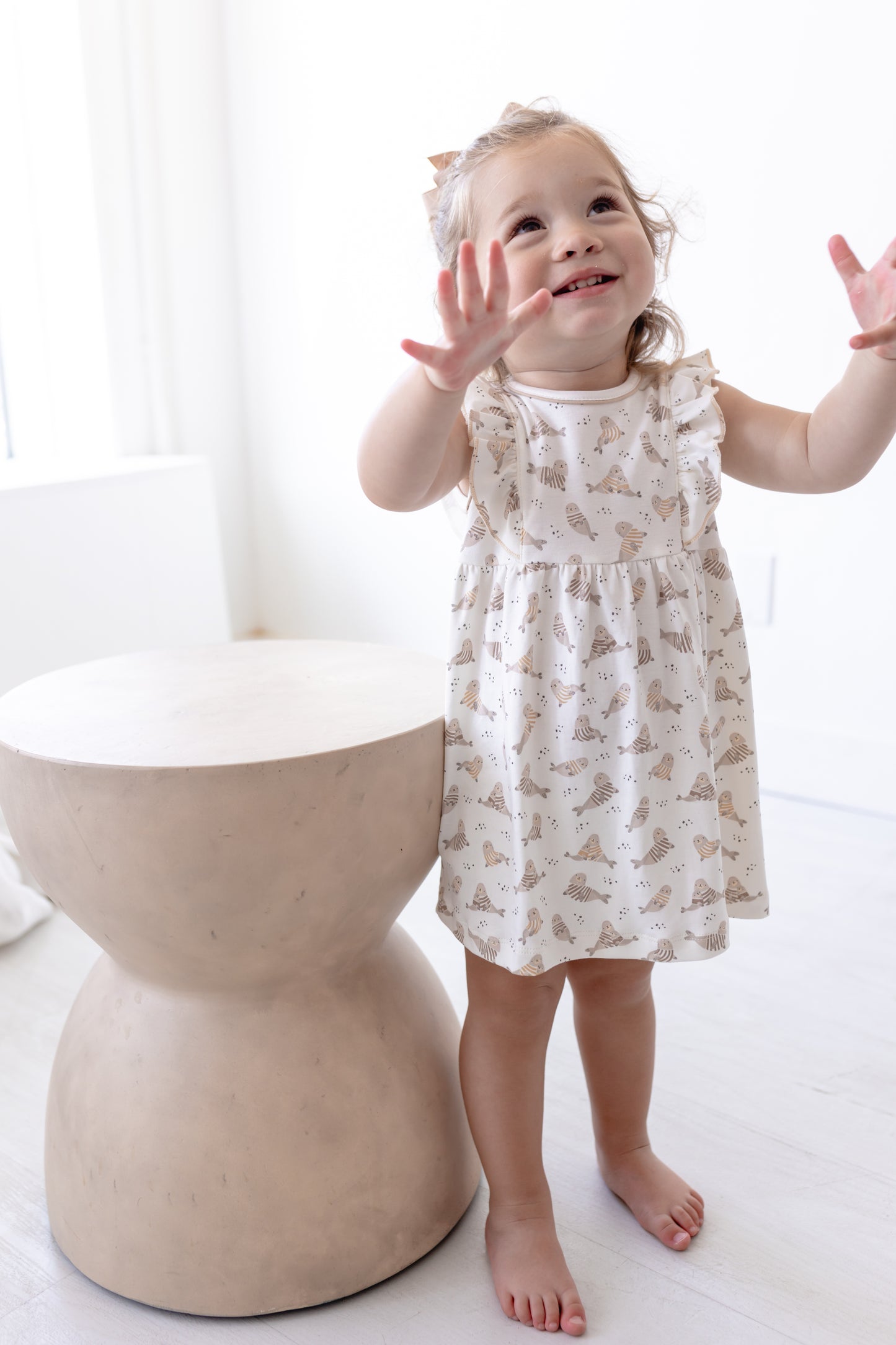 Walrus Cuddles - Flutter Dress Set